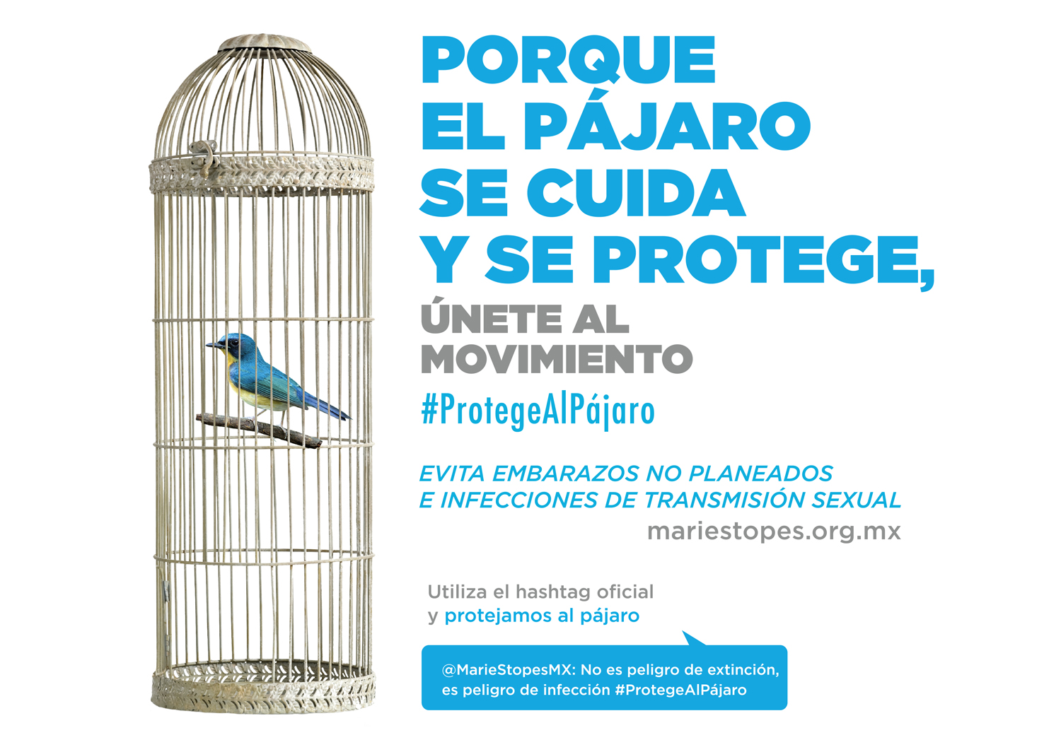 Cartel #ProtegeAlPájaro de Marie Stopes y Bajo Circuito